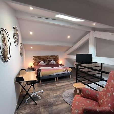 T2 -55M2- Elegant Et Chaleureux Appartement Montbrison Buitenkant foto